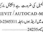 digital-marketing-autocad-revit-max-latest-job-in-sindh-karachi-pakistan