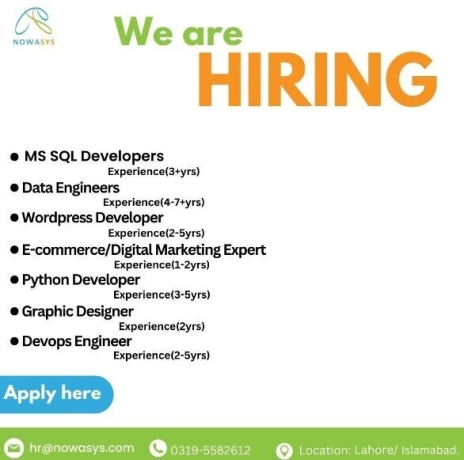 developers-wordpress-phython-engineer-graphic-ecommerce-digital-marketing-in-lahore-islamabad-punjab-2023-big-0