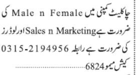 sales-n-marketing-staff-loader-chocolate-company-big-1