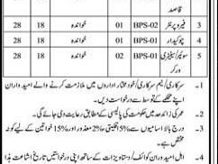 government-job-at-directorate-general-mines-and-mineral-development-government-of-sindh