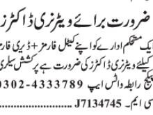 veterinary-doctor-job-opportunity-in-lahore-punjab-join-our-team-today