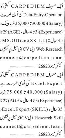 computer-data-entry-operator-and-excel-expert-big-0