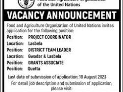 food-and-agriculture-organization-fao-of-the-united-nations-vacancy-in-quetta-apply-now