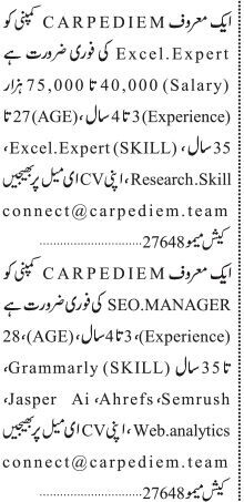 excel-expert-and-seo-manager-jobs-in-karachi-sindh-2023-big-0