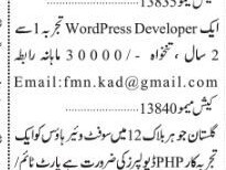graphic-designer-wordpress-developer-php-2024-4-new
