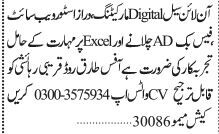digital-marketing-facebook-ads-excel-2024-big-0