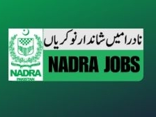 assistant-director-jobs-in-nadra-pakistan-2025-apply-now