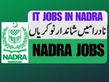 it-jobs-in-nadra-pakistan-2025-join-today