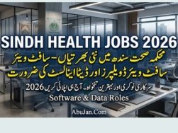 software-developer-and-data-analyst-at-health-department-sindh-recruitment-2026-karachi