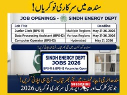 sindh-energy-department-jobs-2026-apply-for-bps-11-bps-12-positions