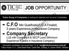 cfo-company-secretary