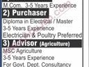 accountant-purchaser-advisoragriculture-development-officer-assistant-busines
