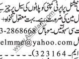 salesman-multinational-property-company