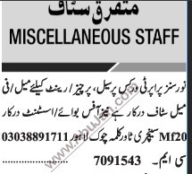 property-sales-purchase-rent-agent-male-female-office-boy-assistant-big-0