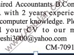 accountant
