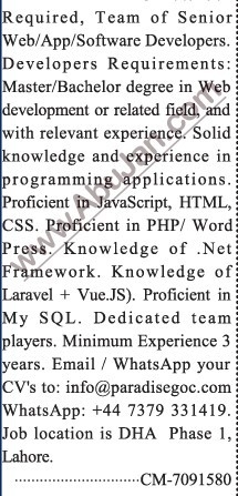 senior-developers-big-0