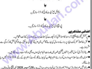 government-college-principle-required