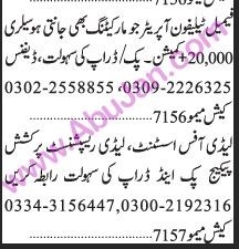 female-telephone-operator-lady-office-assistant-lady-receptionist-big-0