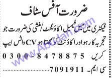accountant-malefemale-big-0