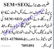 sem-seo-expert-required-big-0