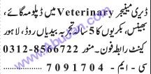 veterinary-dairy-manager-yry-gat-aor-bynsbkrya-big-0