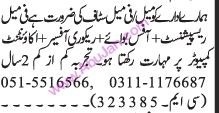 receptionist-office-boy-recovery-officer-accountant-computer-big-0