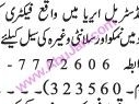 sales-staff-required-nimko-salanty