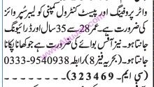 labour-supevisor-driver-office-boy-big-0