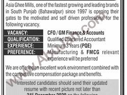 cfo-gm-finanace-accounts