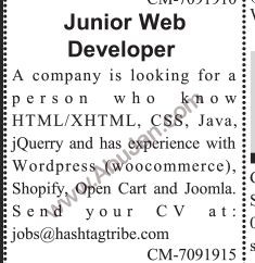 junior-web-developer-big-0