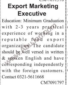 export-marketing-executive-big-0
