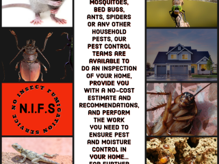 no-insect-fumigation-service