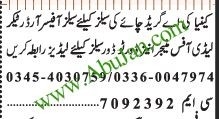 sales-officer-order-taker-lady-office-manager-door-to-door-sales-big-0