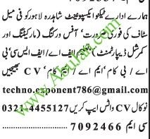 female-office-staff-required-commercial-and-marketing-department-big-0