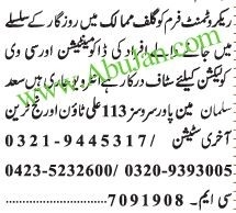 documentation-cv-collector-candidate-recruitment-firm-big-0