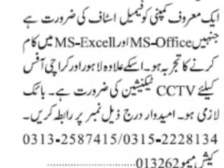 female-ms-office-ms-office-expert-required