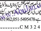 lady-teachers-required-special-chidrens