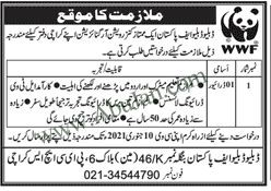 driver-ltv-required-wwf-pakistan-big-1