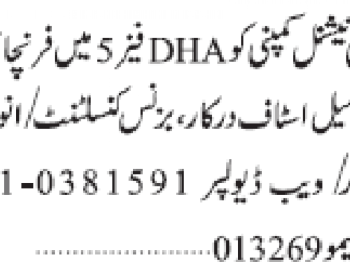 business-consultant-investment-adviser-web-developer-is-required