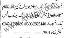 graphic-designer-required-printinganimationvideo-graphy-editing-youtube-facebook-expert-big-0