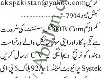 accountant-assistant-accountant
