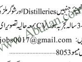 sales-engineer-required-distilleries-sugar-mills