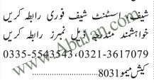 chef-assistant-chef-required-shyf-assn-shyf-fory-rabt-kry-big-0