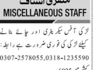 office-secretary-female-tea-maker