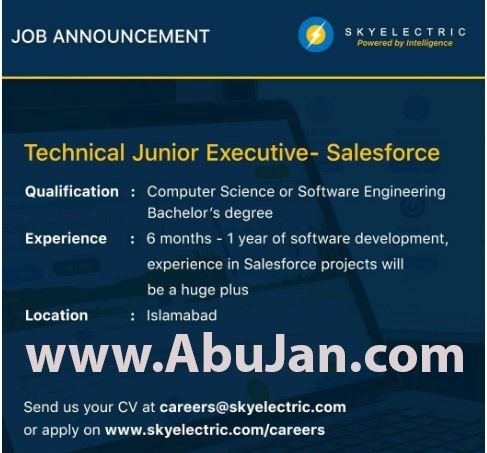 technical-junior-executive-salesforce-skyelectric-big-0