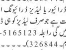 driver-ladies-driving-instructor-required