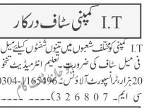 it-staff-required-male-female-it-staff-jobs