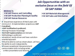 s4-sap-hana-finance-controllingproduction-planning-qualityhuman-resource-material-management-sales-distribution-gatron-novatex-jobs