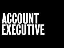 accounts-executive-dysin-automobiles-limited