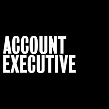 accounts-executive-dysin-automobiles-limited-big-0